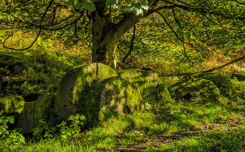 Bole Hill Quarry Bole Hill Quarry